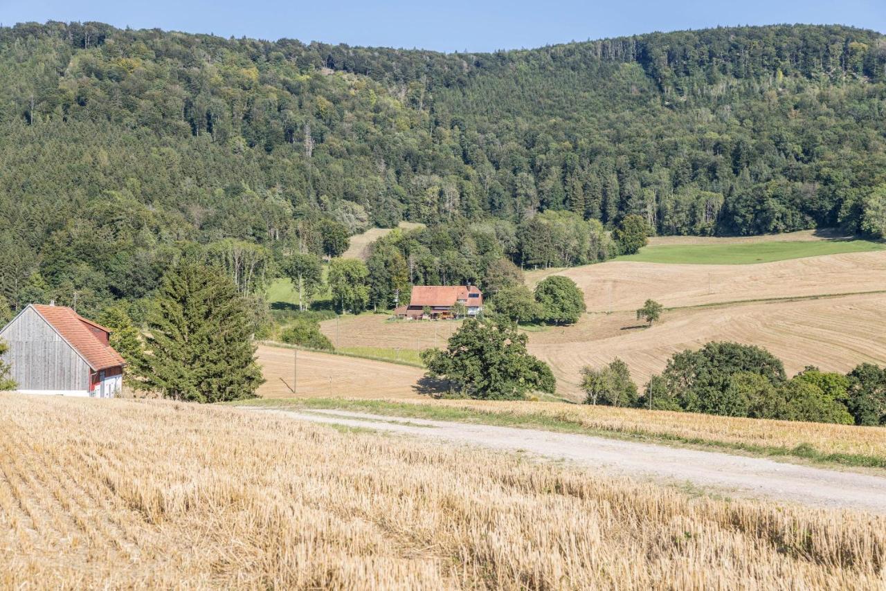 Der Lachenbuckhof 布伦贝格 外观 照片